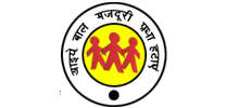 Owl Image